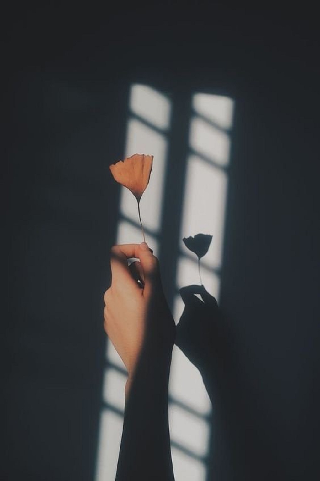 初次架站碰到的各種狀況